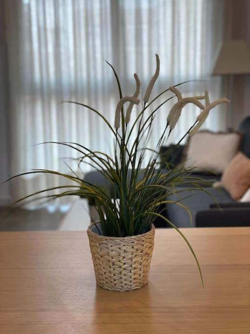 Lovely Beach Apartment รินกอนเดลาวิกตอเรีย ภายนอก รูปภาพ